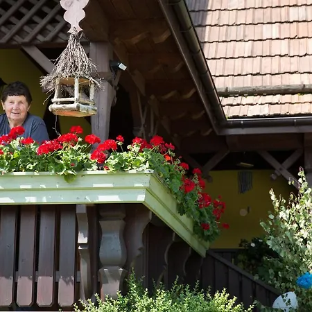 Farmház Smietanowka