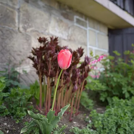 Smietanowka Фермерский дом